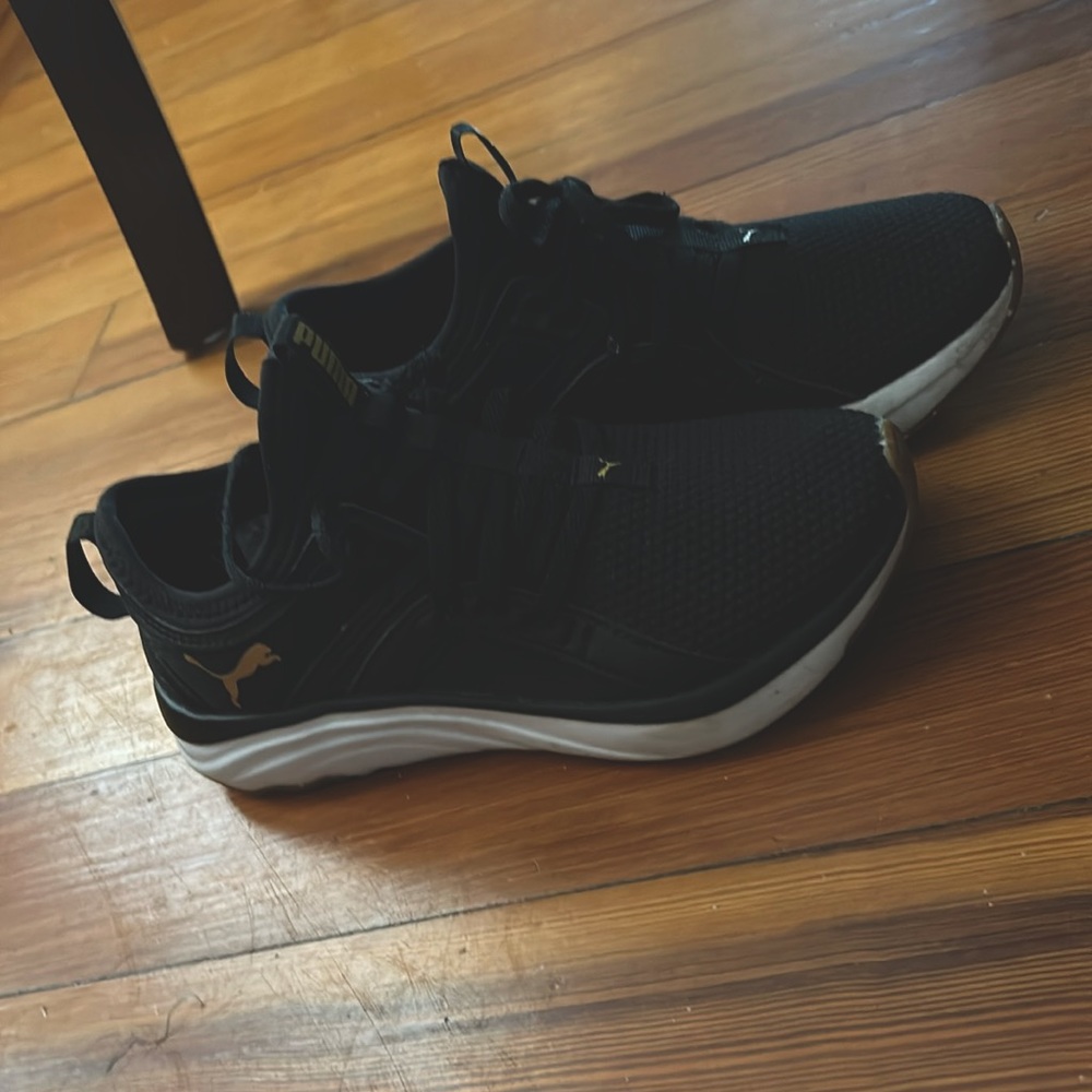 Pumas